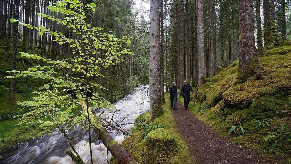 Мужчина и женщина переходят через речные пороги в лесу
